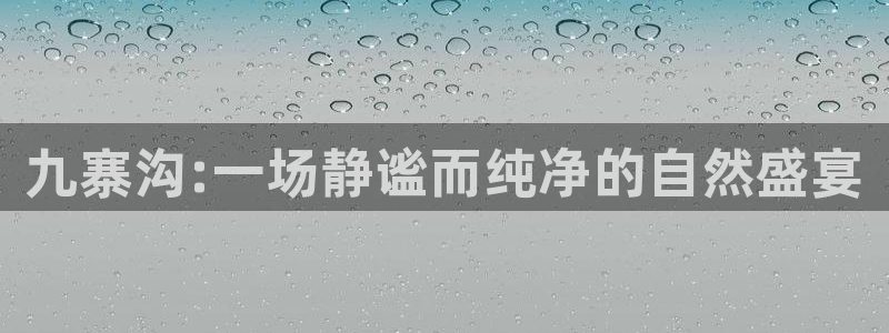 摩根娱乐